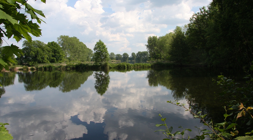 ... ein Wasserparadies zum endecken und verweilen