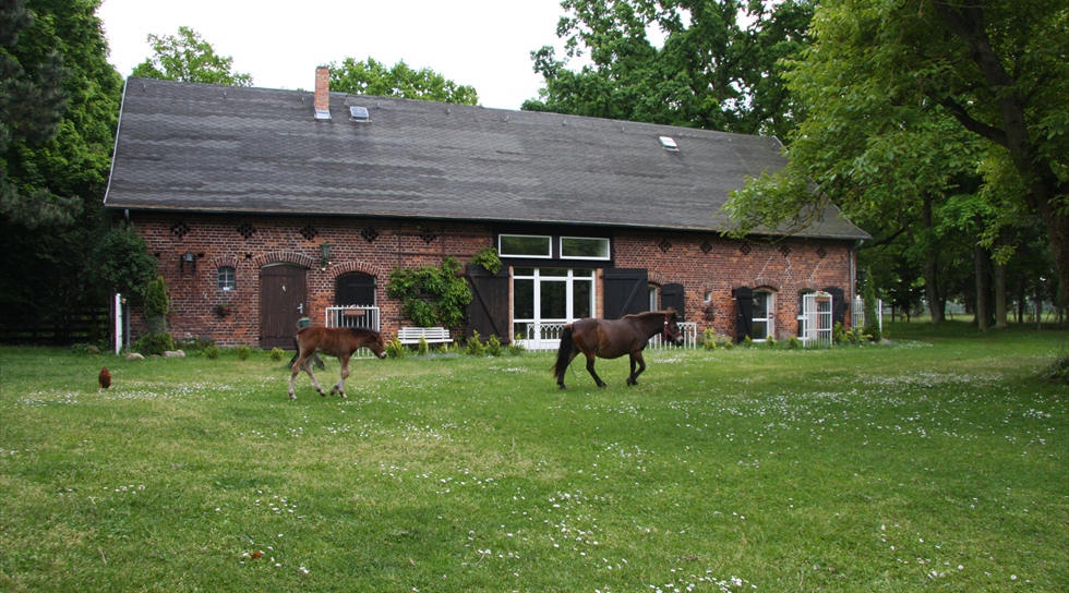 Ferienhaus Zur alten Scheune
