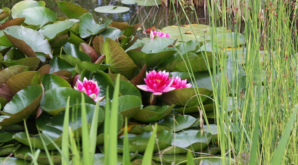 ... entdecken Sie die Natur zu Fuß oder mit einem Fahrrad.