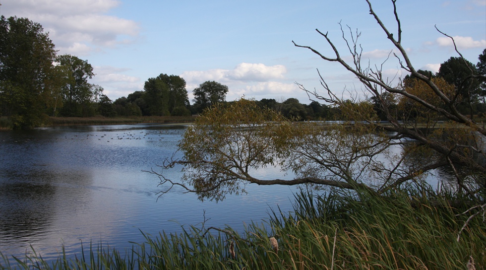 Naturparadies am Rande der Schorfheide