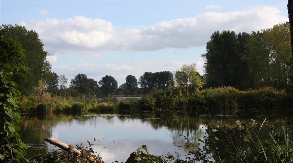 ... der Natur überlassen