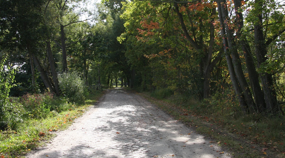 ... alte Wege und Straßen